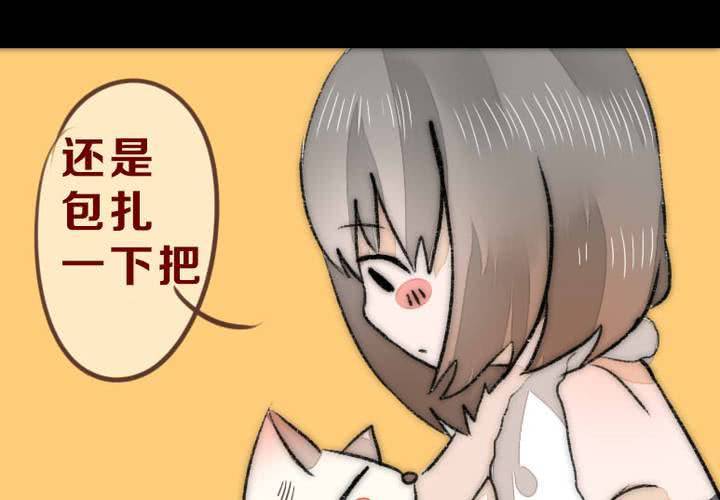 他与她的相遇62