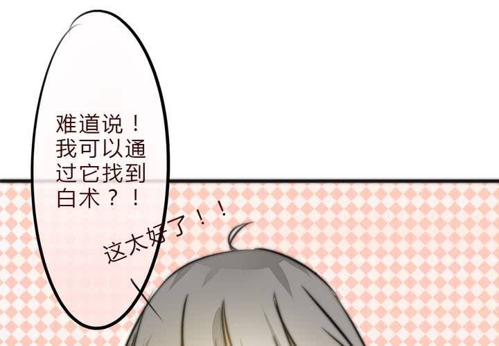 追寻45
