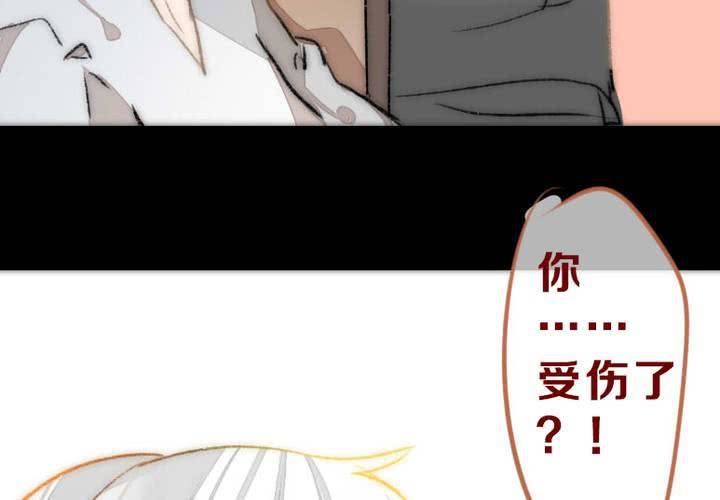 他与她的相遇52