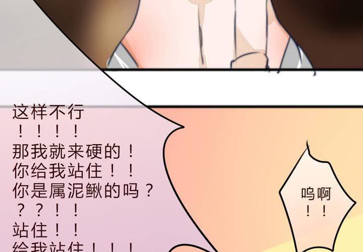 追寻29