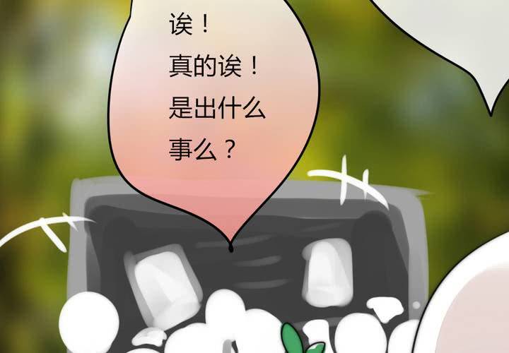 校园危机25