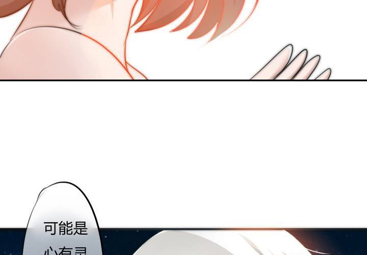 告白17