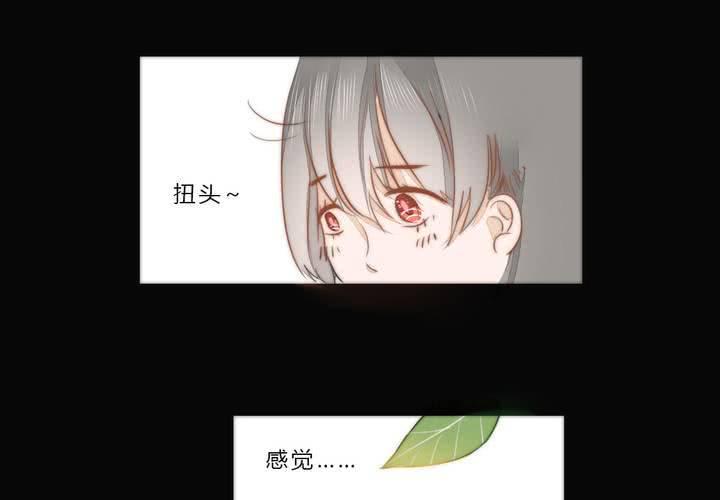 乐章的前奏17