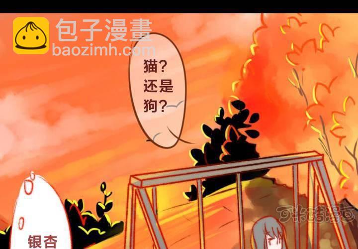 他与她的相遇16