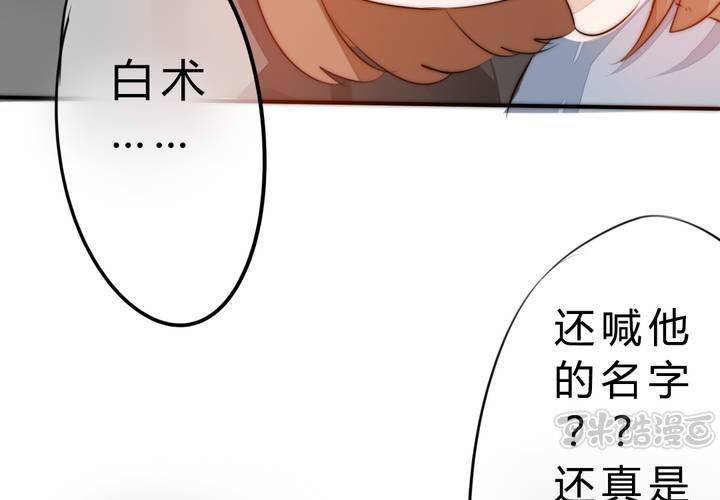 真相与决心48