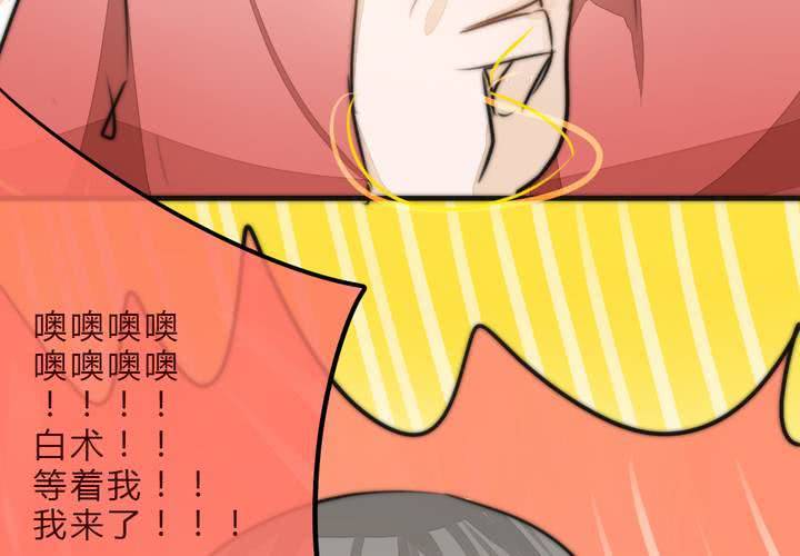 追寻50