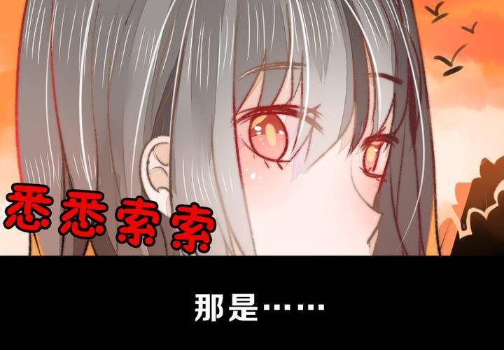 他与她的相遇15