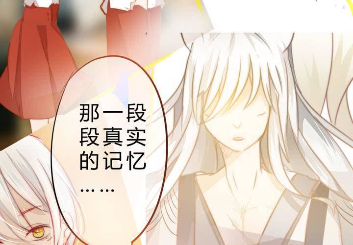 真相与决心69