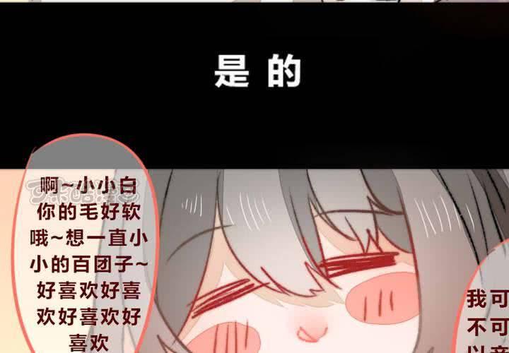 他与她的相遇24