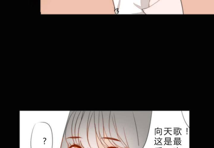 乐章的前奏9