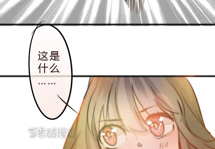 追寻40