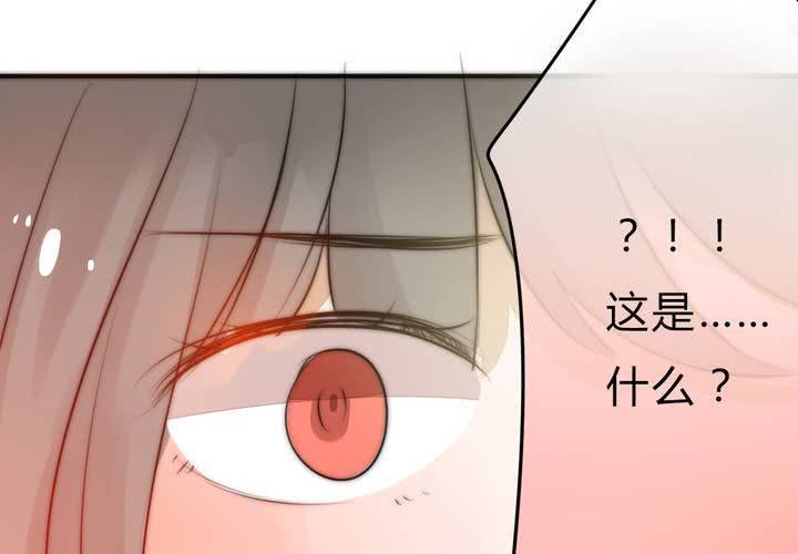 校园危机61