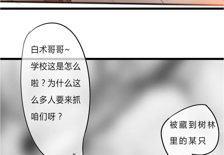 被告知的真相4