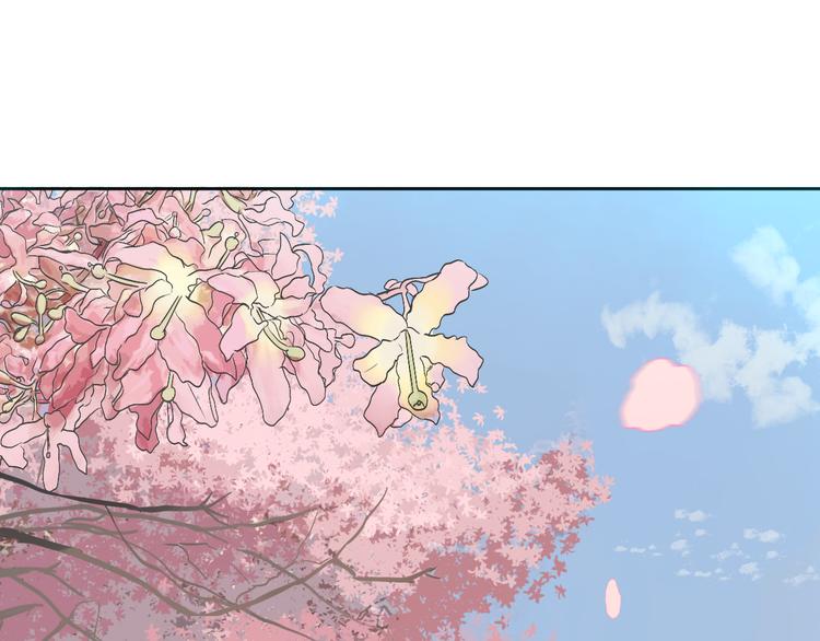 第29话 赏花95