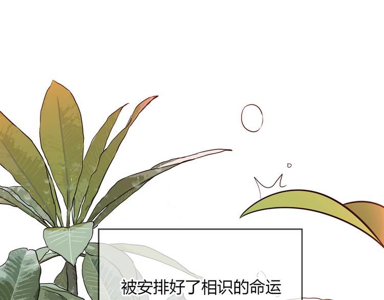 第40话 彩虹156