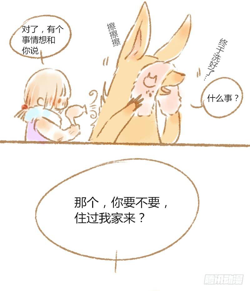 哎！？5