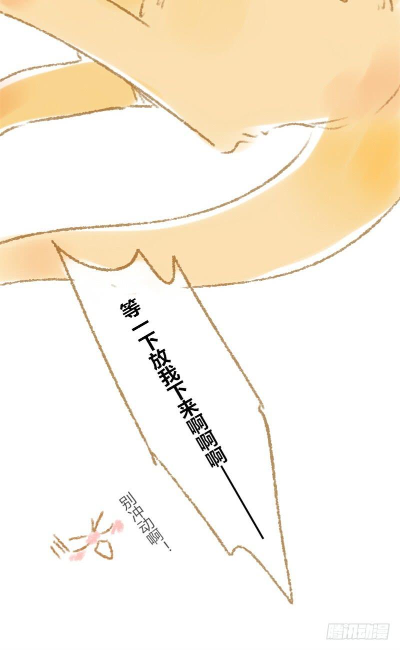 放我下来Σ( ° △ °|||)5