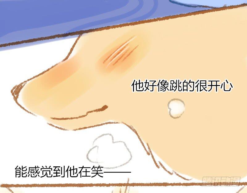 一条鲨鱼？！3