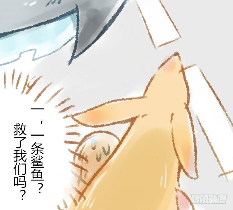 一条鲨鱼？！11