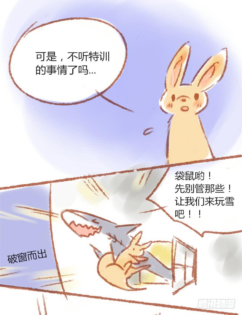 圣诞节！2