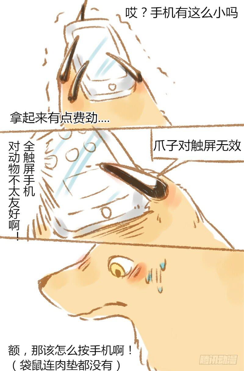 怎么办3