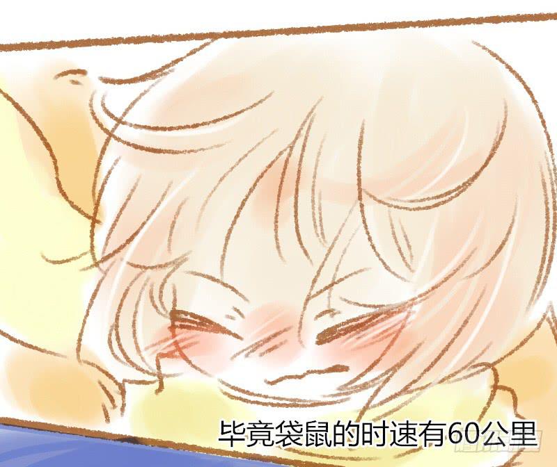 一条鲨鱼？！1