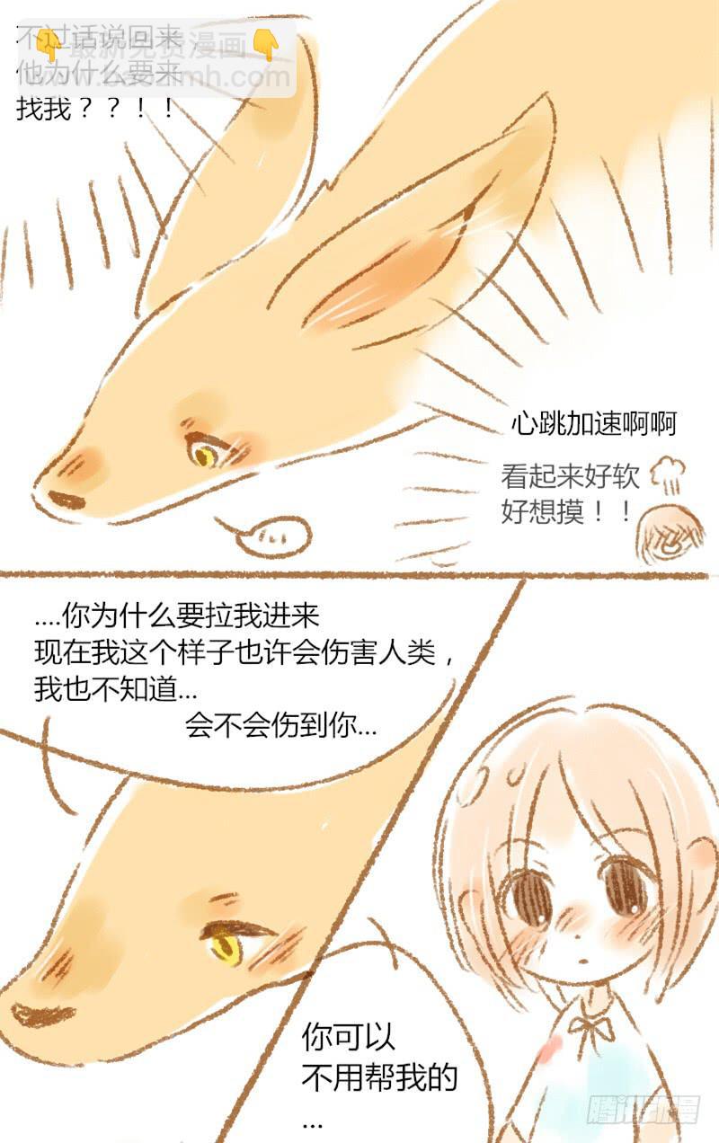 第五恋：因为我喜欢你4