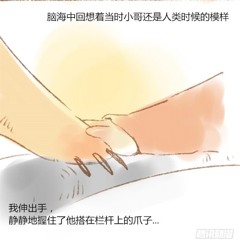 相伴的夜晚14
