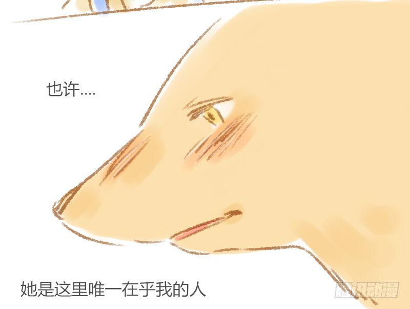 他是唯一在乎我的人7