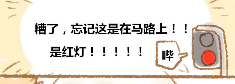 一条鲨鱼？！5