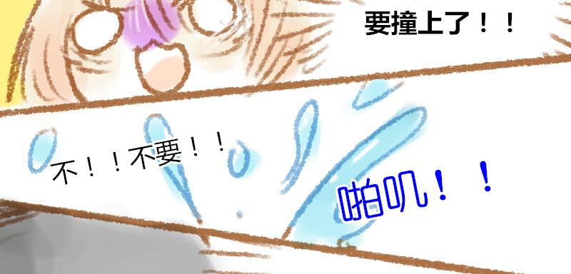 一条鲨鱼？！9