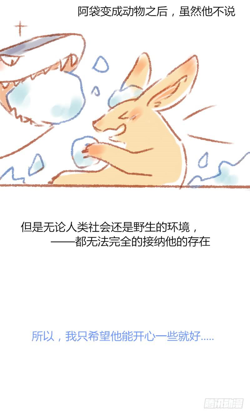 圣诞节！5
