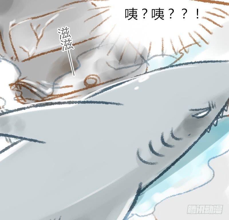 一条鲨鱼？！10