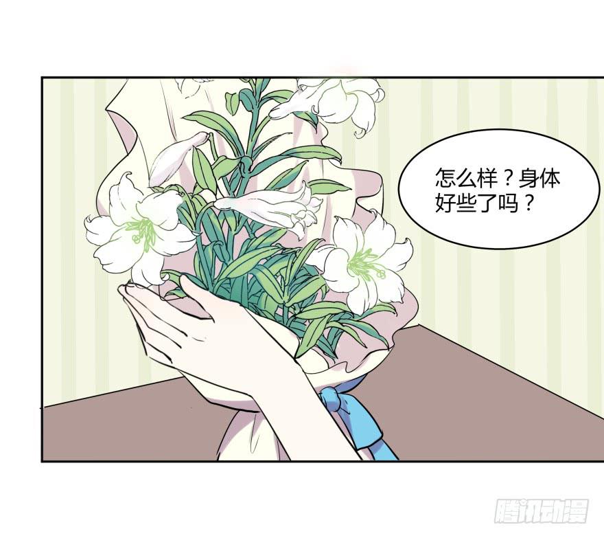 第二十七话：真像与假像11