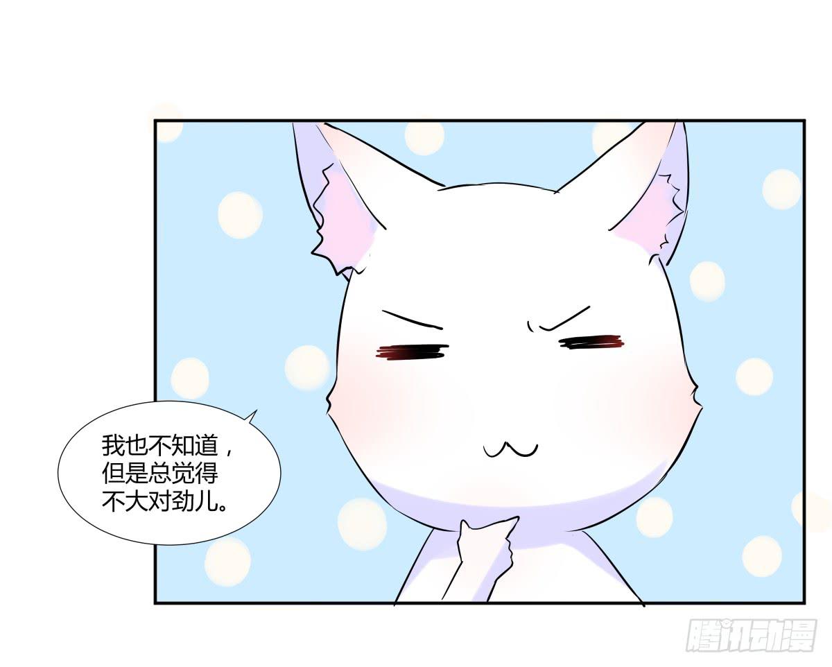 第二十二话：频繁报复与圈套25