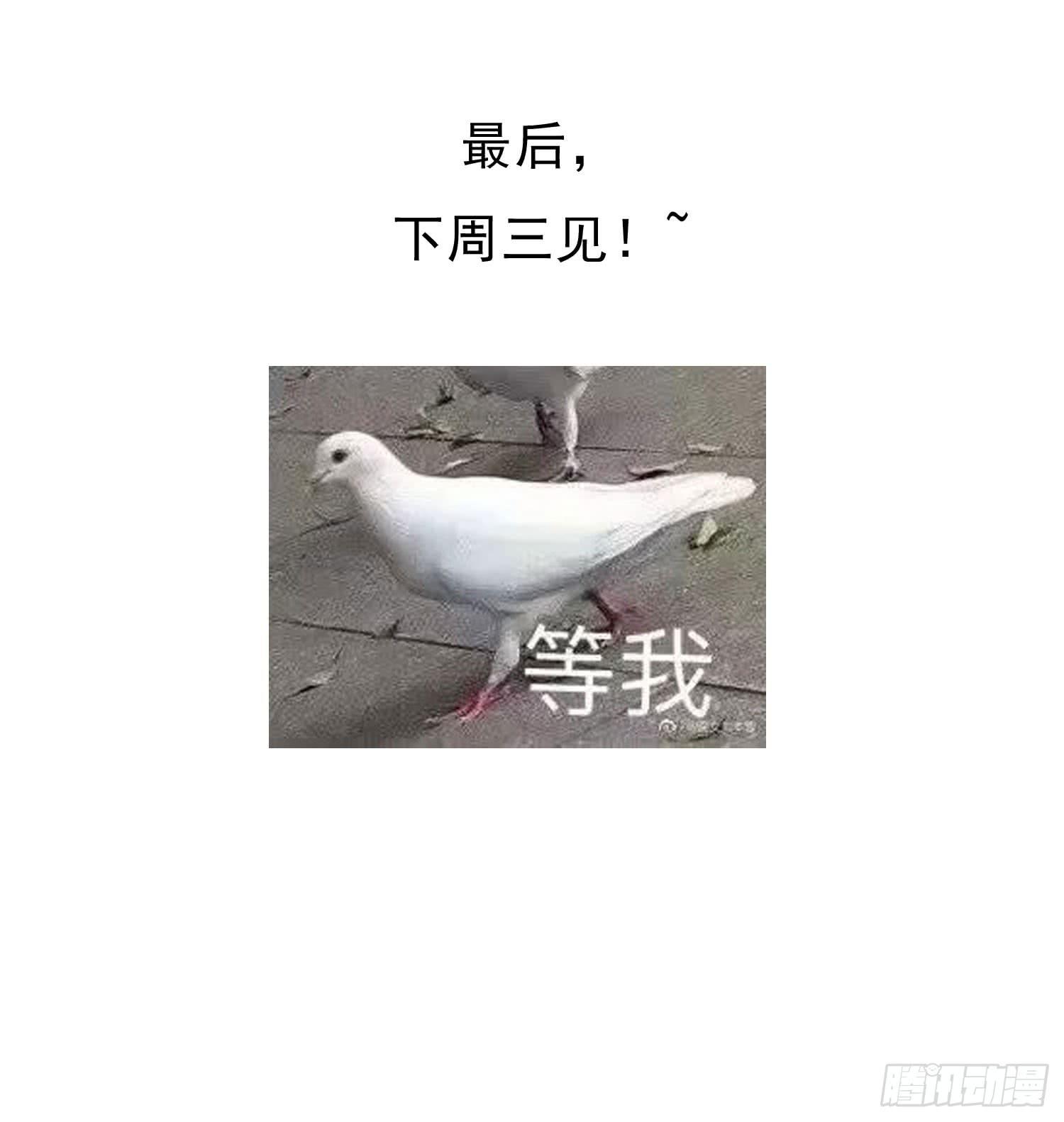 整顿期6