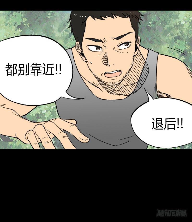 第11话：崩坏4
