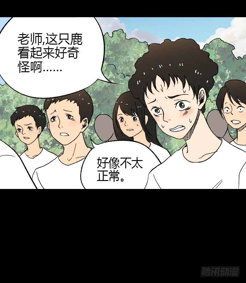 第11话：崩坏3