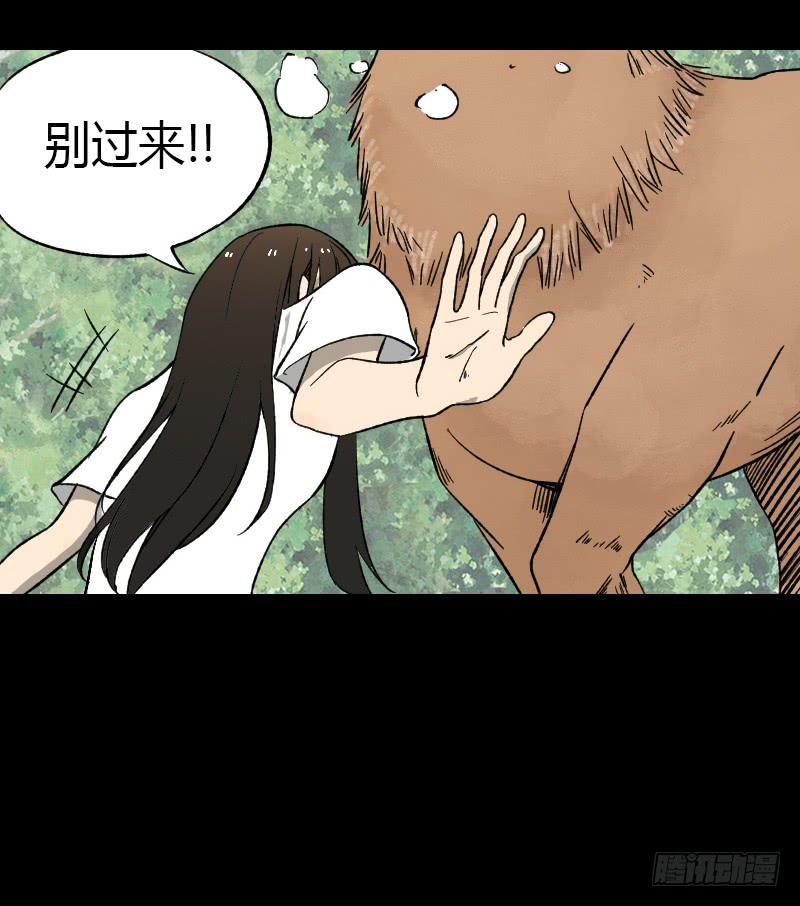 第11话：崩坏14