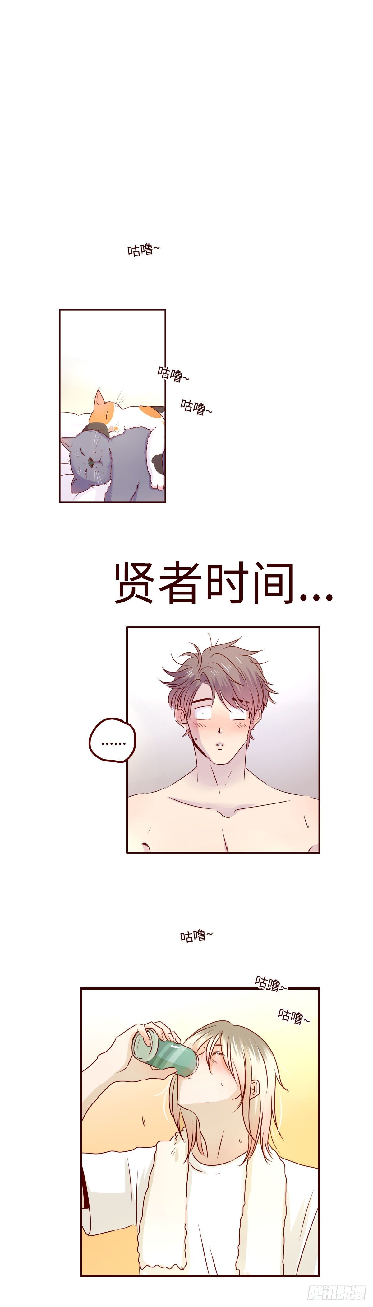 20 汪汪0