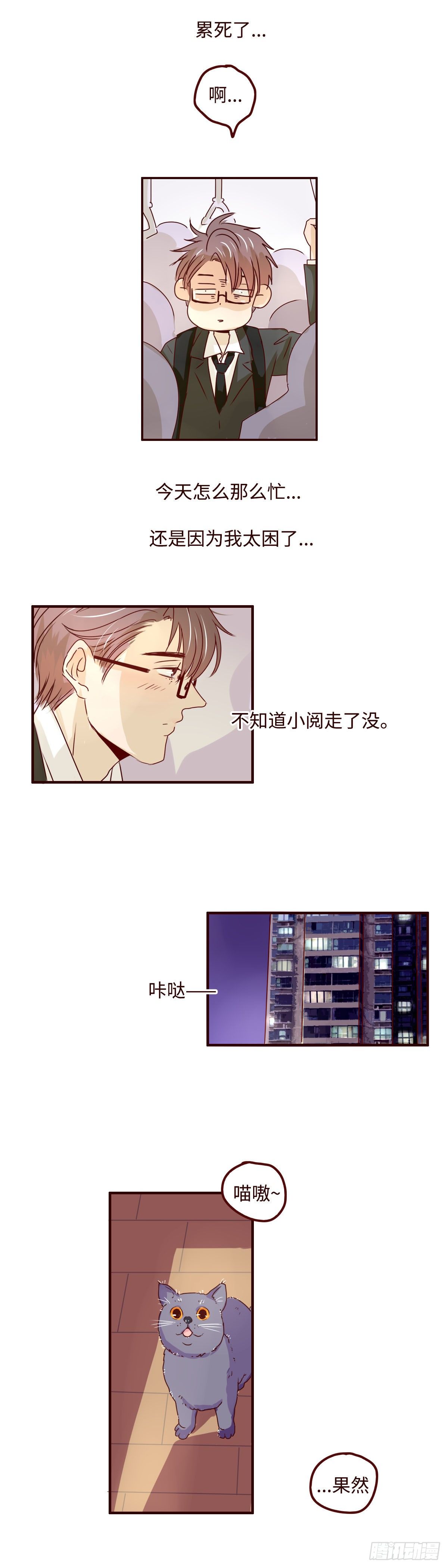 12 果然不在了5