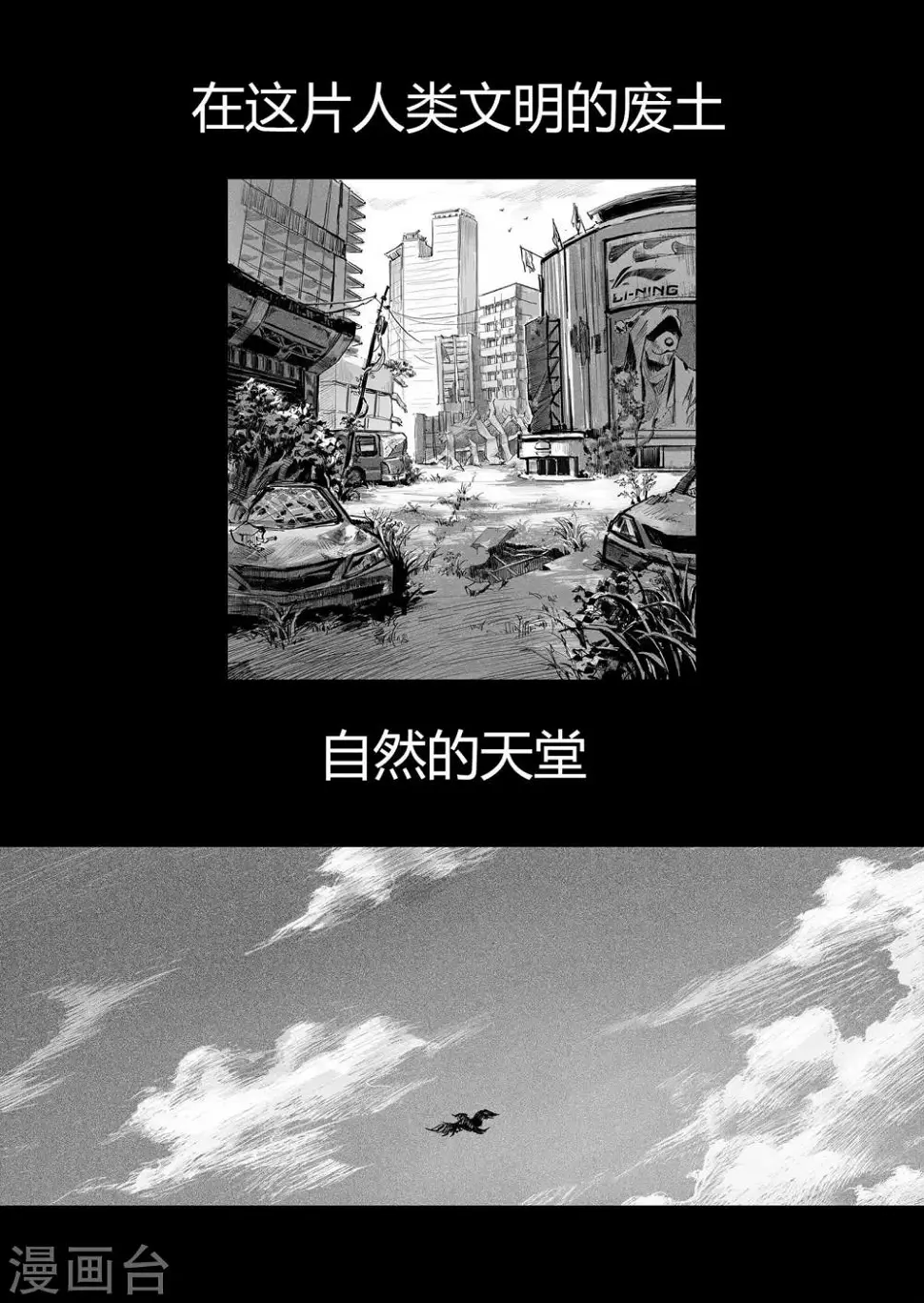 预告5