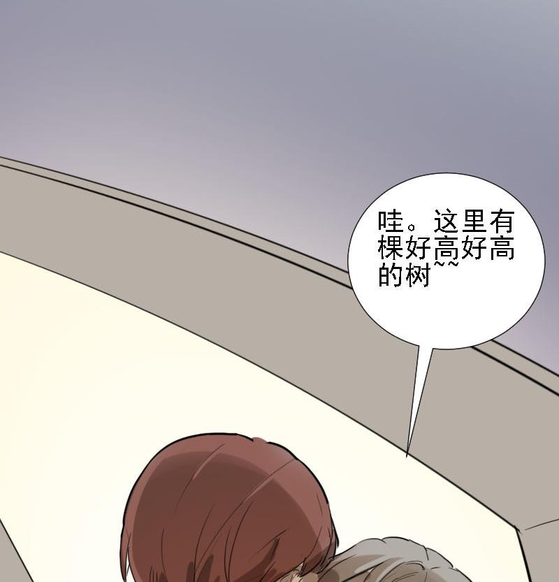 第28话 恋爱的错觉 319
