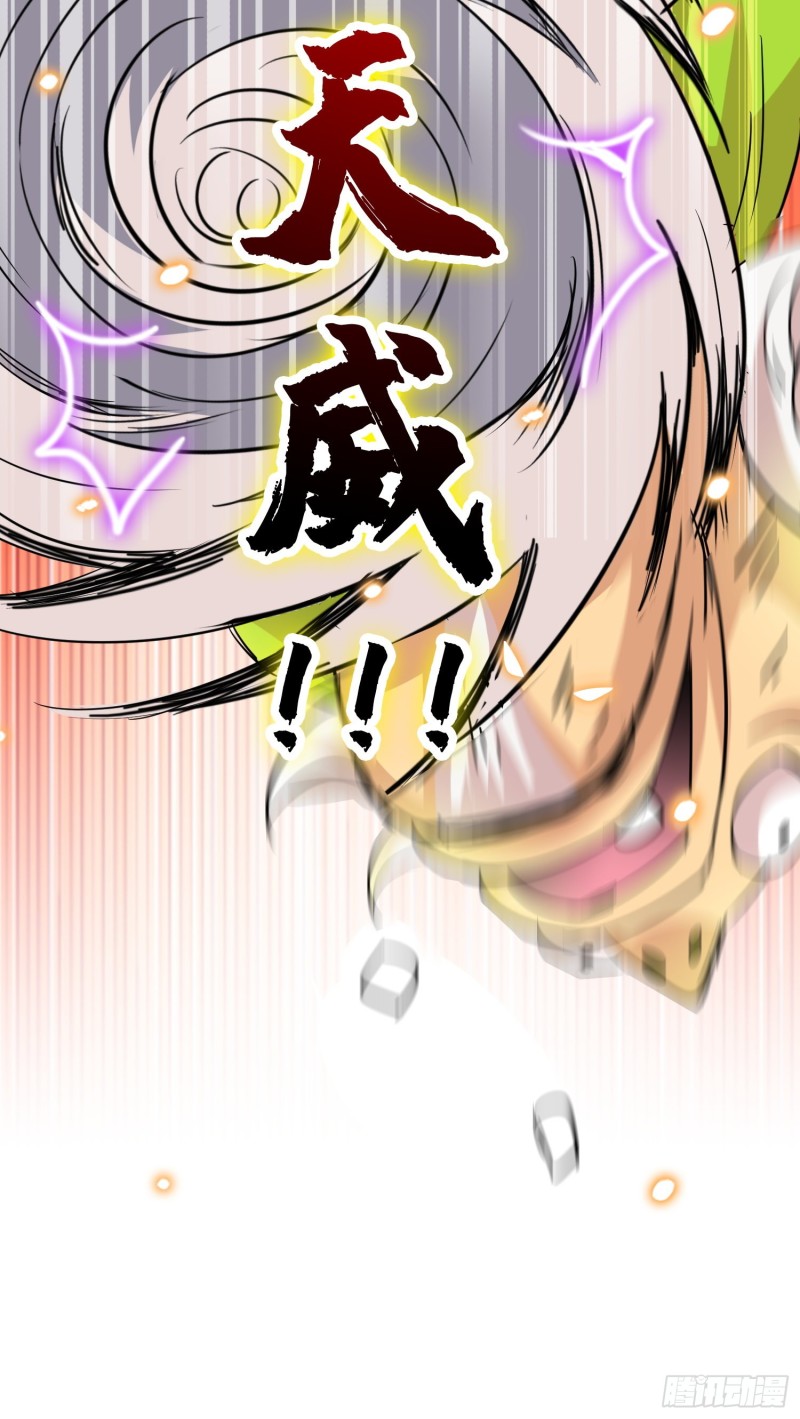 神秘的援军24