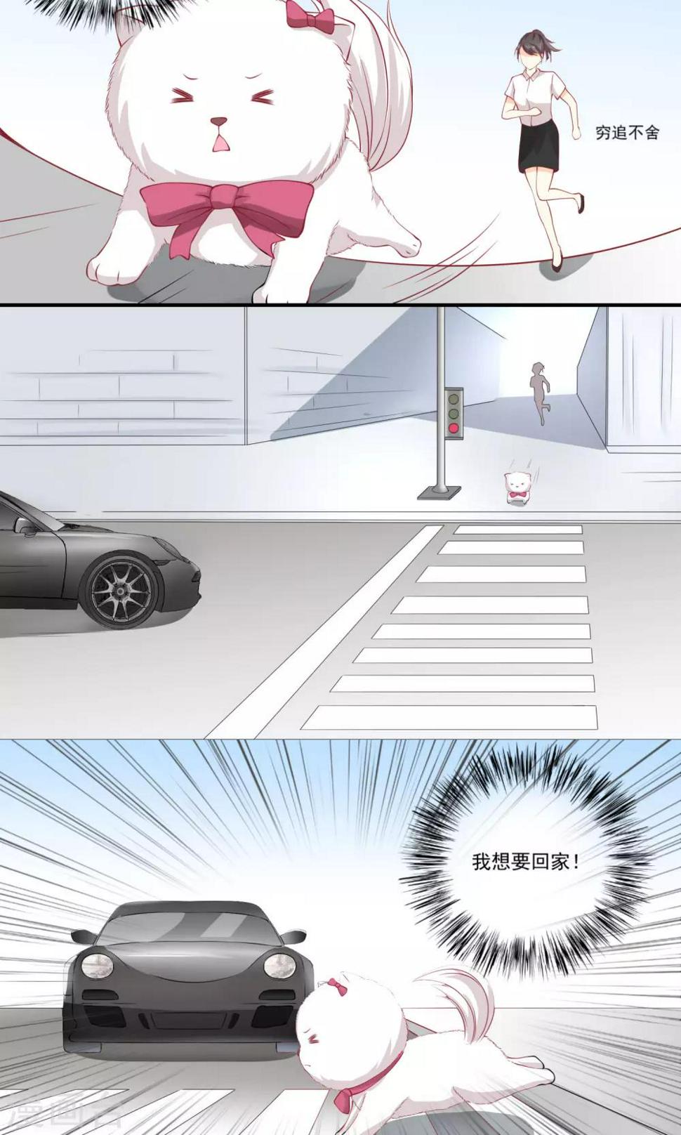 第4话 预谋的车祸11
