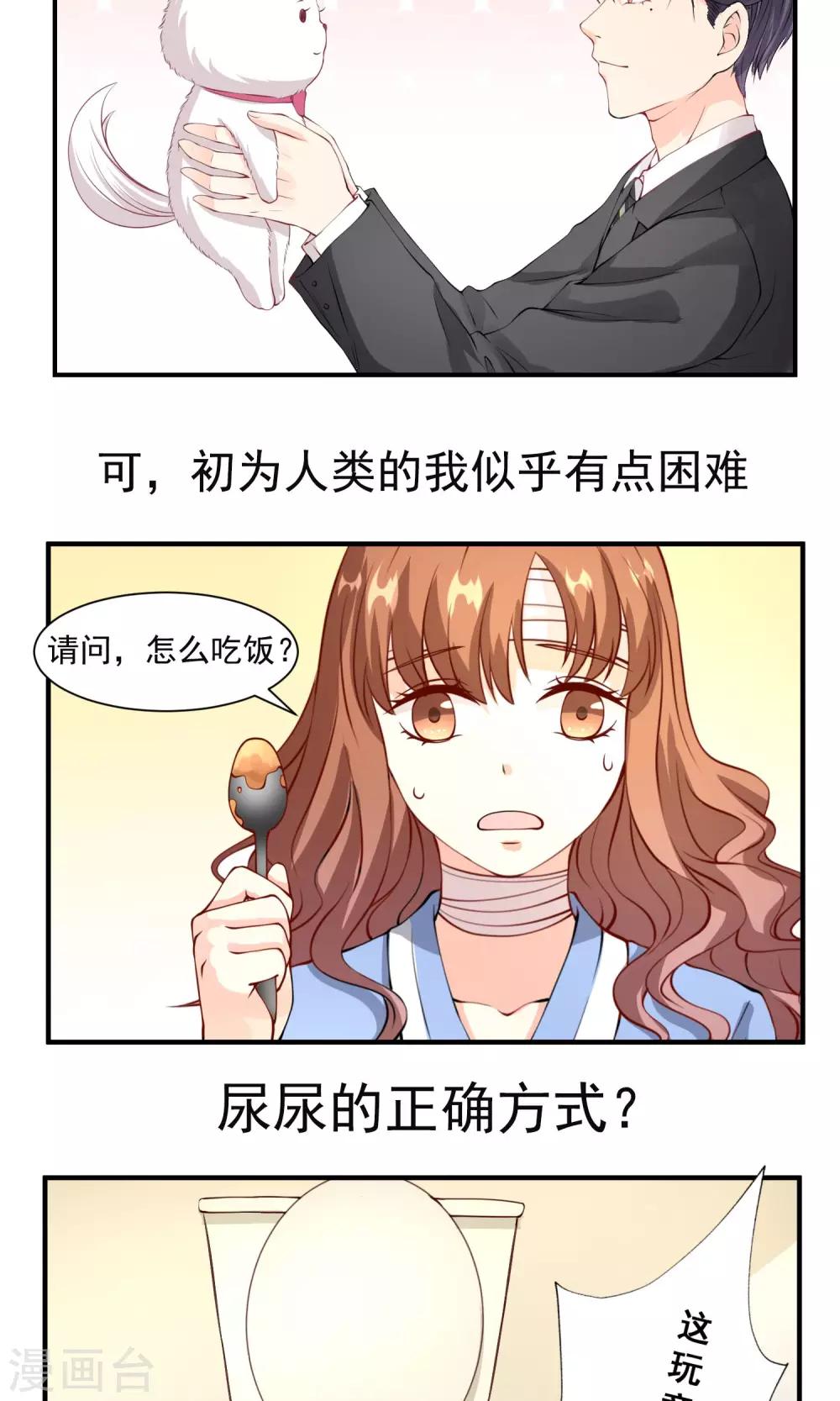预告12