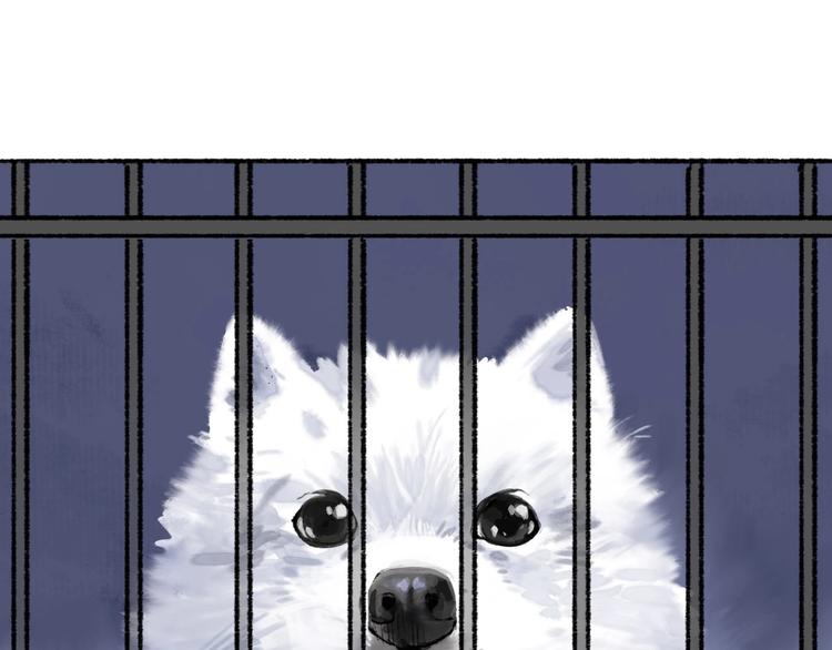 第17回 穿林打叶33
