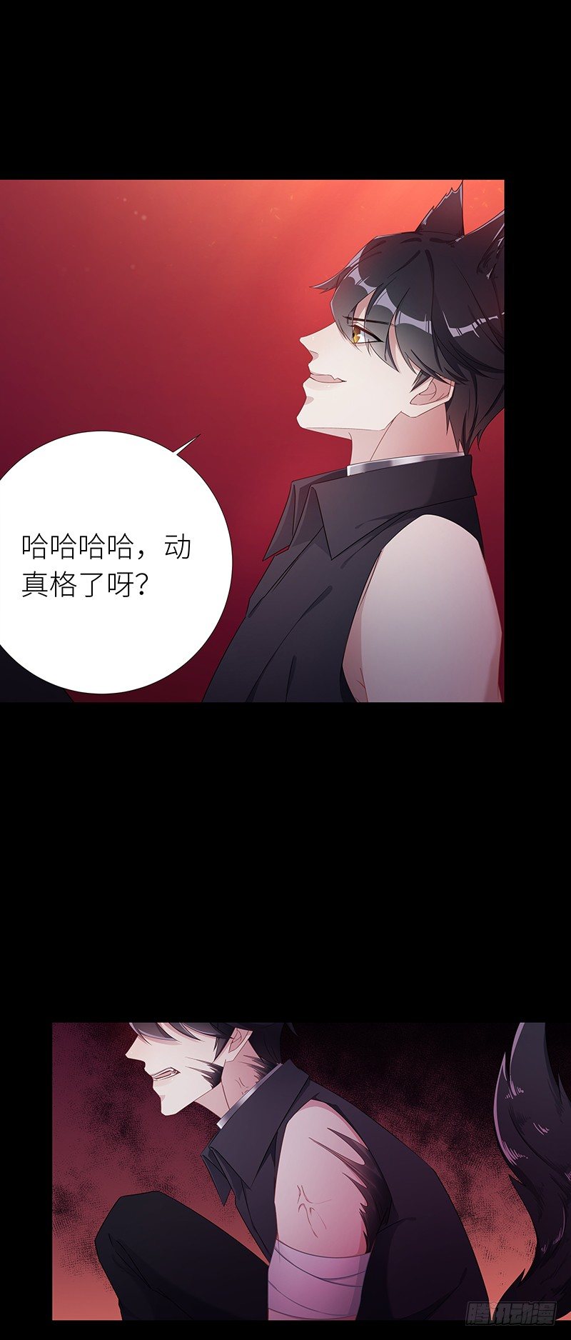 狼之吻0613