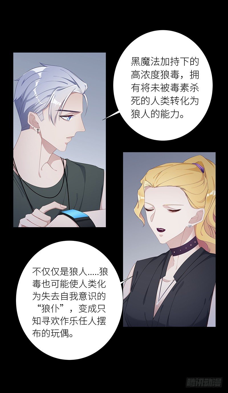 狼之吻031