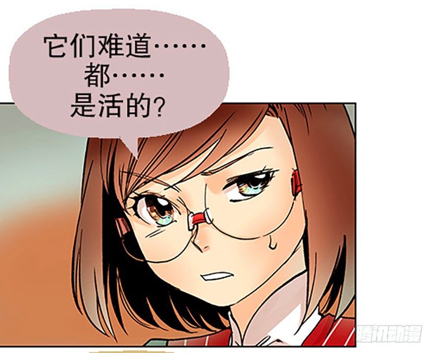 法宝的“心”33
